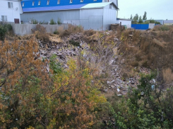 Огромную свалку обнаружили волонтеры ОНФ в центре Новохоперска