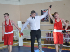 На турнир по боксу в Грибановке приехали спортсмены из пяти регионов