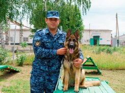 Кинолог из Борисоглебской колонии спас тонущего мужчину