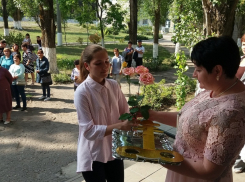 В Борисоглебском городском округе стартовал новый учебный год