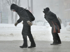 Об опасном ветре предупредили жителей Воронежской области спасатели