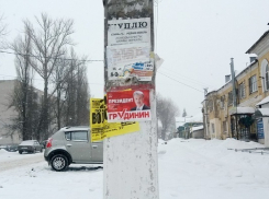 В Борисоглебске администрация призвала партии очистить город от визуального мусора 