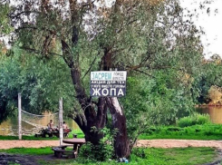 В одном из городов  Воронежской области  объявили  акцию  «Заср.м город вместе!»