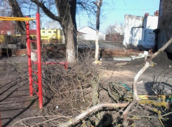 Ураганный ветер в Борисоглебске повалил с десяток деревьев и оторвал лист кровли с  крыши музыкального училища