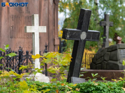 Более 10 тысяч человек потеряла с начала года Воронежская область