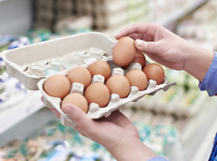ФАС предостерегла воронежские торговые сети от завышения цен на яйца перед Пасхой
