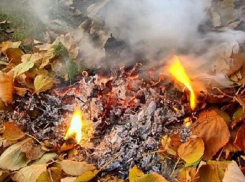 Пожарные призвали жителей Воронежской области воздержаться от разведения костров