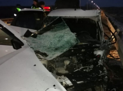 Житель Грибановского района погиб в аварии с микроавтобусом
