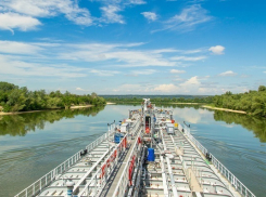 На мониторинг русла реки Дон в Воронежской области выделили 500 тыс. рублей