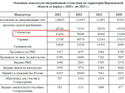 Украина, Узбекистан, Таджикистан омбудсмен сделал доклад о потоках мигрантов в Воронежскую область