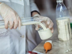 Воронежский «Роспотребнадзор» проверил качество молока в районах области