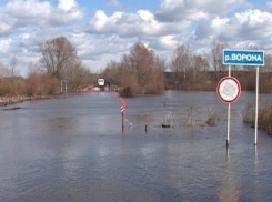 Впервые за 20 лет мост в посёлке Власовка Грибановского района не затопило