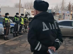  Жители Воронежской области могут сообщить о пьяных водителях в Telegram-бот ГИБДД