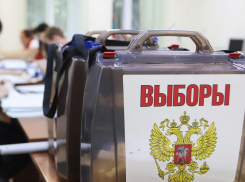 Кто выдвинулся на праймериз «Единой России» от Борисоглебского городского округа