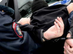 Борисоглебца будут судить за нападение на полицейского в бильярдном клубе
