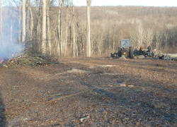 В лесах Борисоглебского округа  разведут  костры