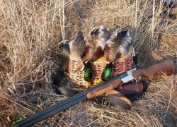 В Грибановском районе разрешат охоту на водоплавающую птицу