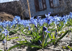 Жаркий рекорд столетия поставила погода в Воронежской области в День космонавтики