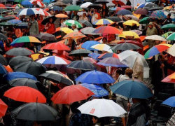 Полезные советы борисоглебцам: как выбрать зонт.