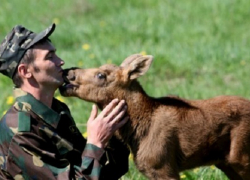 В Воронежской области молодых лесников обеспечат бесплатным жильём и землёй