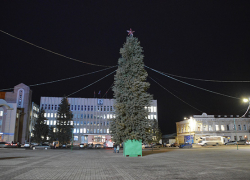 В Борисоглебске установили центральную новогоднюю елку