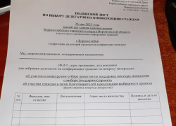  В Борисоглебске раздают подписные листы по выбору делегатов на конференцию граждан 
