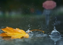 В Борисоглебске на 1 сентября обещают дождь