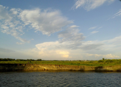 В начале новой рабочей недели в Воронежской области будет по-прежнему жарко