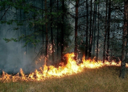 В Борисоглебске объявлен максимальный класс пожарной опасности