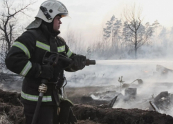 Высокий риск лесных пожаров в августе спрогнозировали в Воронежской области 
