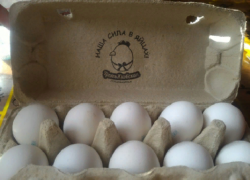 Каждый второй житель Борисоглебска гордится яйцами местного производителя