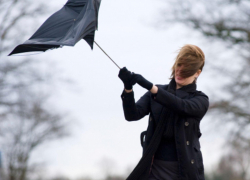 МЧС предупредило об опасной погоде в Воронежской области