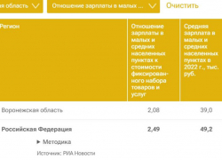 РИА Новости: средняя зарплата в Воронежской области – 39 000 рублей