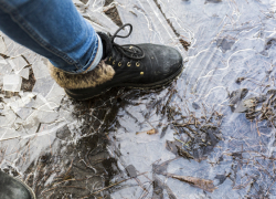В Воронежской области 474 человека пострадали из-за гололёда
