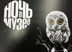 В Борисоглебске участников акции "Ночь в музее" будут развлекать немым кинематографом