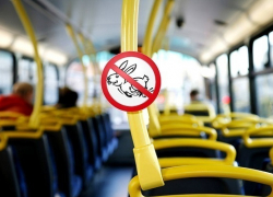 Безбилетников не высадят на мороз