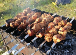 В Воронежской области разрешили устраивать шашлыки на природе