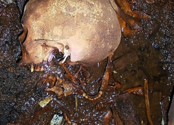 В центре Петербурга обнаружили скелет человека с паспортом жительницы Воронежской области