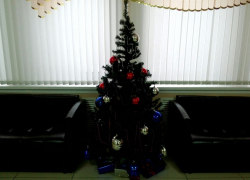 В администрации Борисоглебского городского округа сорвали традиционные сроки установки елки