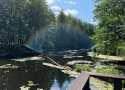 В Воронежском государственном природном биосферном заповеднике им. В. М. Пескова заработали «Ростелеком Экраны»
