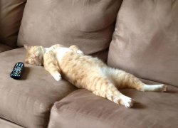 Увеличенные выходные и сокращенная рабочая неделя ожидают россиян в феврале