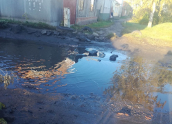  Больные места Борисоглебска. Очередная стихийная свалка портит жизнь местным жителям