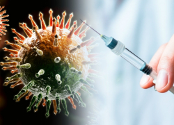 Обязательную вакцинацию для отдельных групп  граждан планируют ввести в Воронежской области