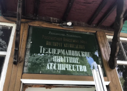 Филиал Теллермановское опытное лесничество Института лесоведения РАН стал победителем премии FSC России 