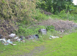 В Борисоглебске бывший «химмашевский» стадион превратили в помойку