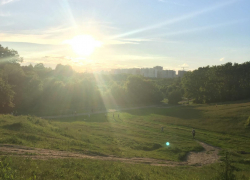 С какими показателями по коронавирусу встречает первые выходные лета Воронежская область