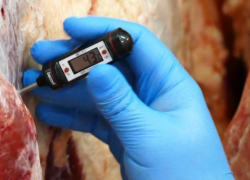 Партия контрафактного мяса   поступила в  Борисоглебский округ из республики Беларусь