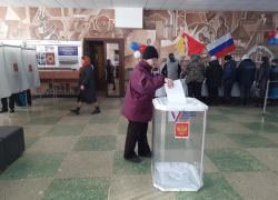 Худшую поддержку Путина на востоке Воронежской области показал Борисоглебский округ