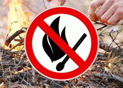 В последний день апреля в Воронежской области начал действовать особый противопожарный режим