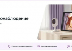 Как воронежцы присматривают за домом и близкими через смартфон